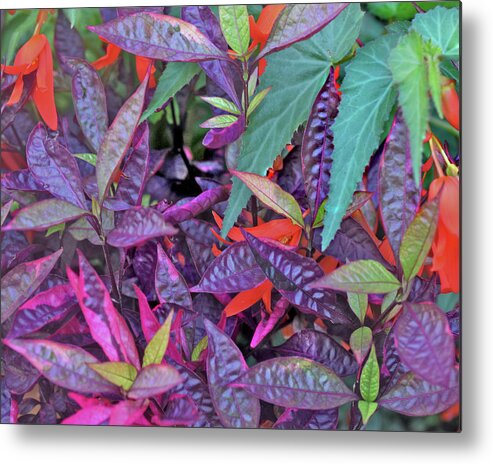 Summer Flowers Metal Print featuring the photograph Hot July by Janis Senungetuk