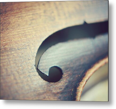 Violin Metal Print featuring the photograph Joyful Sounds by Lupen Grainne