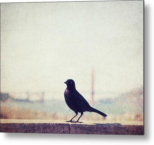 Bird Metal Print featuring the photograph Just Stopping By by Lupen Grainne