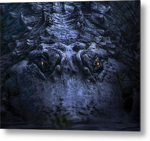 Alligator Metal Print featuring the photograph Kingdom of the Alligator by Mark Andrew Thomas