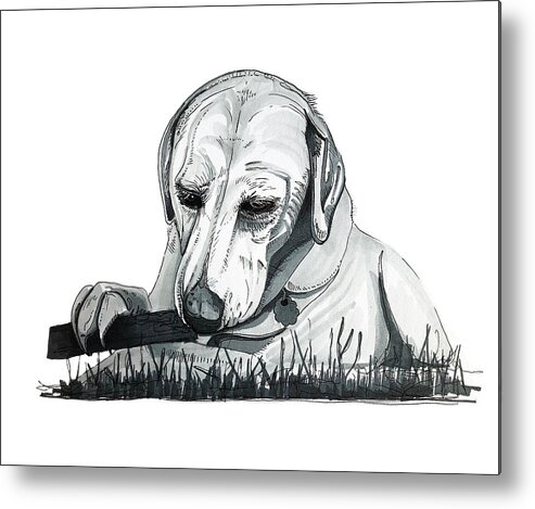 Labrador Metal Print featuring the drawing Labrador with Stick by Creative Spirit