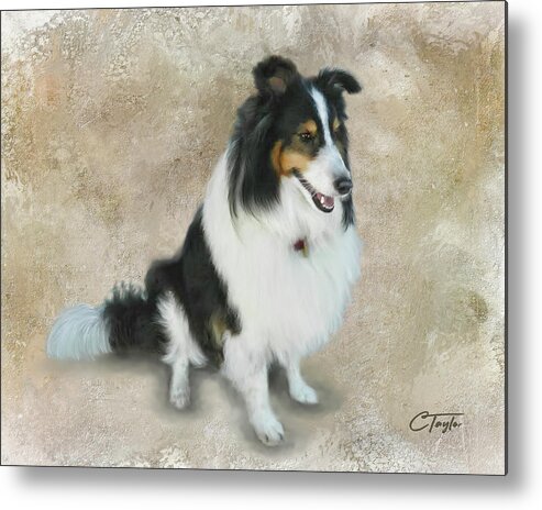 Dogs Metal Print featuring the mixed media Lexi by Colleen Taylor