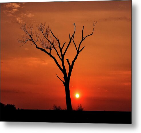 Lonely Sunset Metal Print featuring the photograph Lonely Sunset by Scott Olsen