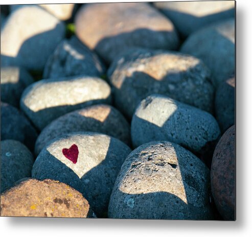 Heart Metal Print featuring the photograph Love in Hard Places by Lora Lee Chapman