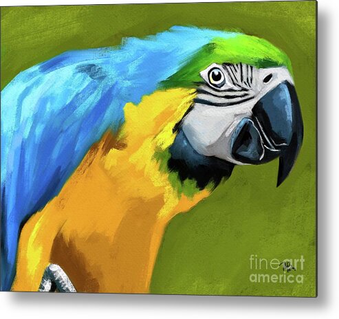 Tammy Lee Metal Print featuring the painting Macaw by Tammy Lee Bradley