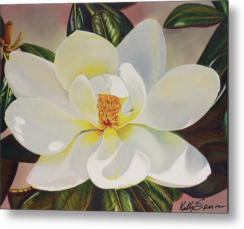 Magnolia Metal Print featuring the drawing Mid-day Magnolia by Kelly Speros