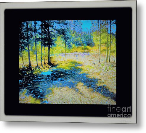  Metal Print featuring the photograph Mossy Ground by Shirley Moravec
