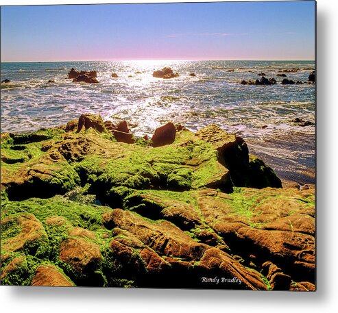 West Coast Metal Print featuring the photograph Mossy Rocks in Afternoon Sun by Randy Bradley