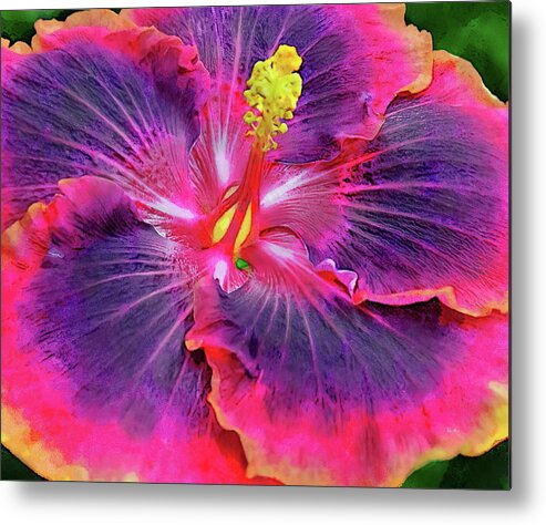 Hibiscus Metal Print featuring the painting Multi-Color Hibiscus by Russ Harris