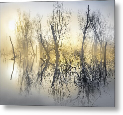 Abstract Metal Print featuring the photograph Mystical Lake by Jordan Hill