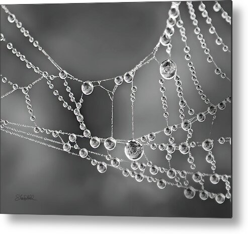 Spider Web Metal Print featuring the photograph Natures Jewels by Shara Abel