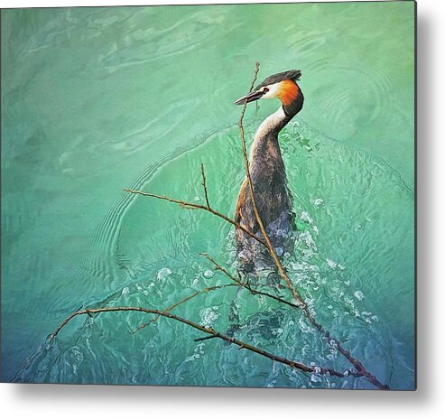 Bird Metal Print featuring the photograph Nesting time by Tatiana Travelways