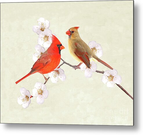 Northern Cardinal Bird Metal Print featuring the photograph Northern Cardinal Couple by Laura D Young