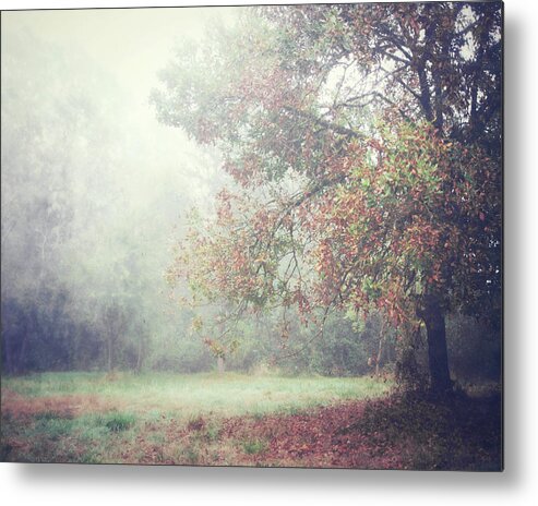 Autumn Metal Print featuring the photograph October Meadow by Lupen Grainne