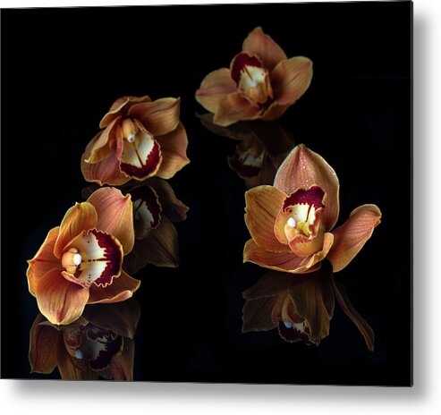 Orchids Metal Print featuring the photograph Orange Cymbidium Orchid III by Lily Malor