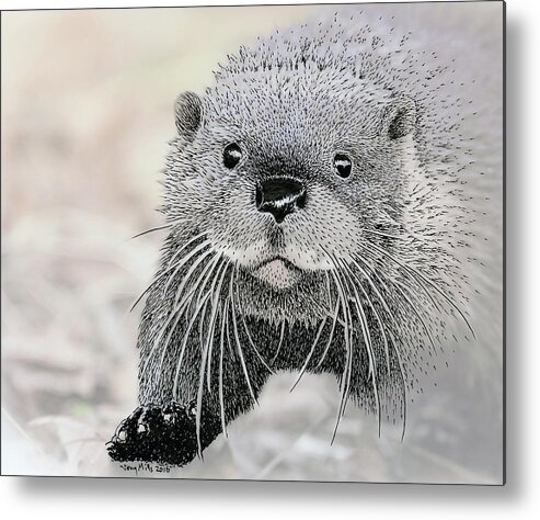Otter Metal Print featuring the mixed media Otter approaching, mixed media. by Tony Mills