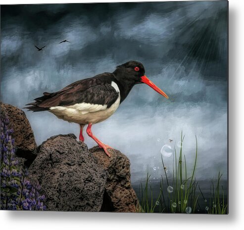 Oyster Catcher Metal Print featuring the digital art Oyster Catcher by Maggy Pease