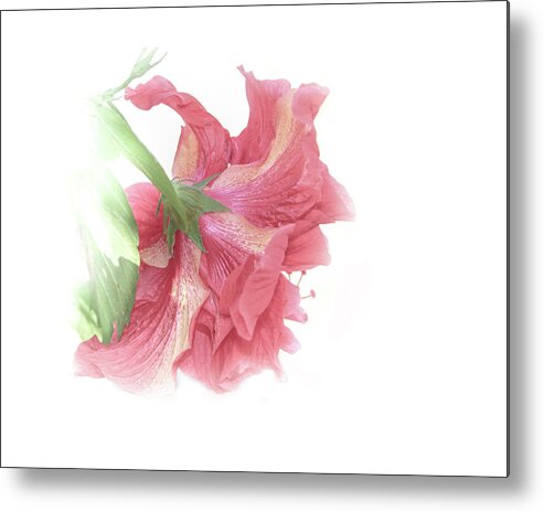 Shara Abel Metal Print featuring the photograph Painterly Pink by Shara Abel