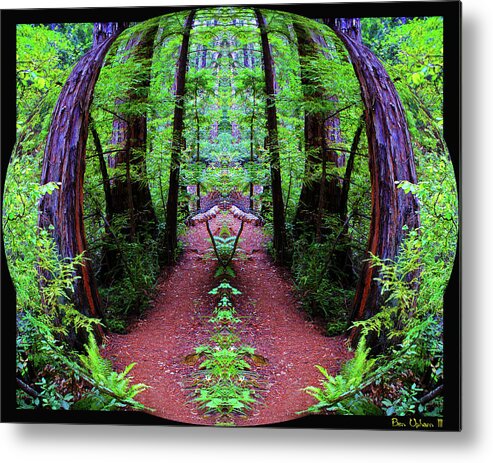 Nature Art Metal Print featuring the photograph Pathway to Heaven Sphereized with a Black Border by Ben Upham III