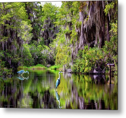 Heron Metal Print featuring the digital art Patient Reflections by Norman Brule