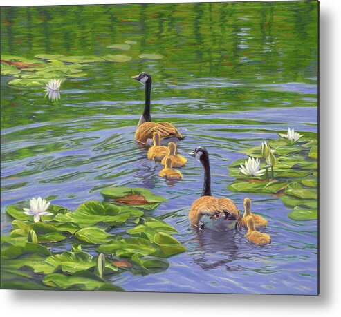 Wildlife Metal Print featuring the painting Peaceful Swim by Lucie Bilodeau