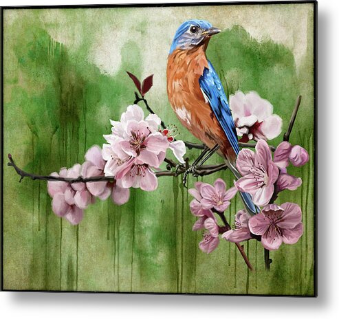 Blue Bird Metal Print featuring the digital art Pink and Blue by Shawn Conn