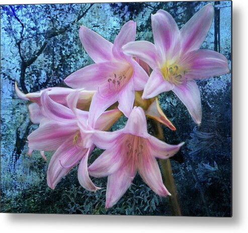 Pink Day-lilies Metal Print featuring the photograph Pink Fluted Flowers From the Garden Before the Fall by Belinda Greb