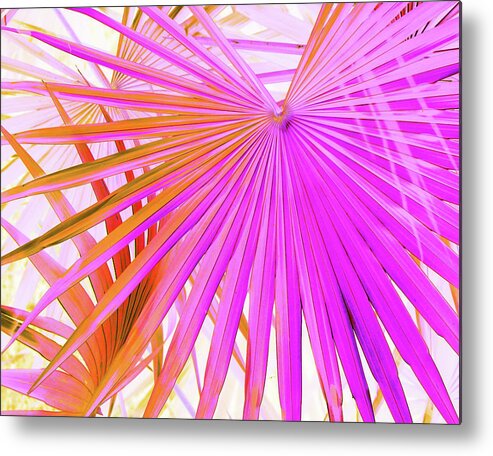 Trees Metal Print featuring the photograph Pink Orange Palmettos by Missy Joy