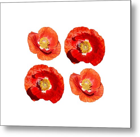 Ornamental Poppy Metal Print featuring the photograph Poppy Design 2021-1 by Thomas Young