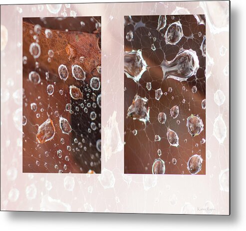Raindrop Metal Print featuring the photograph Raindrops On Web by Karen Rispin
