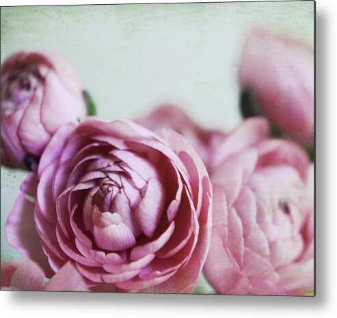 Ranunculus Flowers Metal Print featuring the photograph Ranunculus Chic by Lupen Grainne