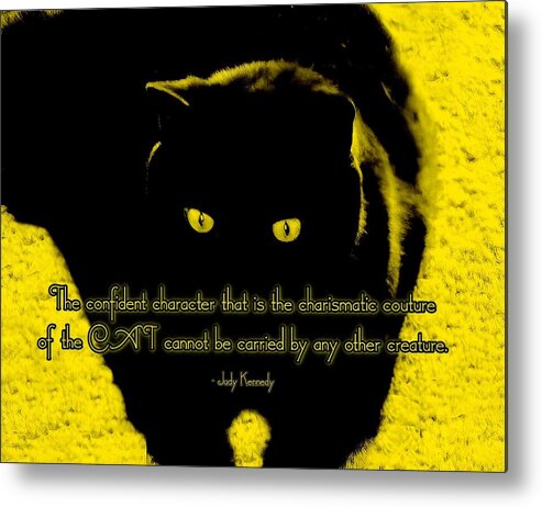 Cat Metal Print featuring the photograph Raven Chic by Judy Kennedy
