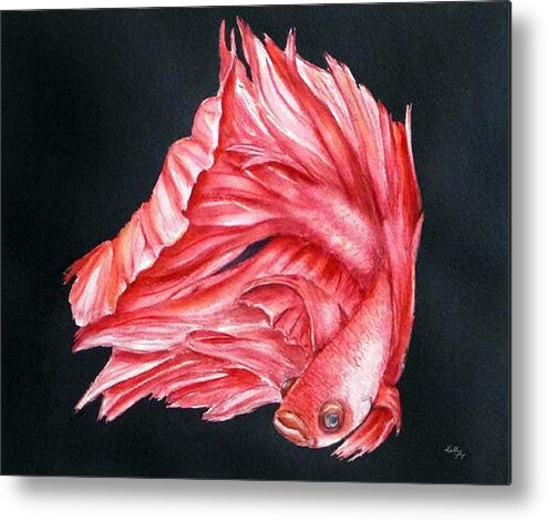 Siamese Fighting Fish Metal Print featuring the painting Red Betta Fighting Fish by Kelly Mills