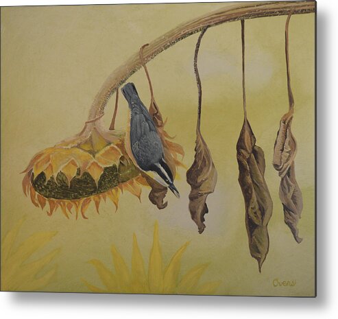 Warbler Metal Print featuring the painting Red-breasted Nuthatch by Charles Owens