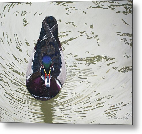 Woodduck Metal Print featuring the painting Ripples by Heather E Harman