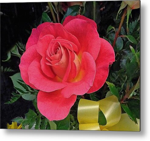 Rose Metal Print featuring the photograph Rose and Ribbon by Andrew Lawrence