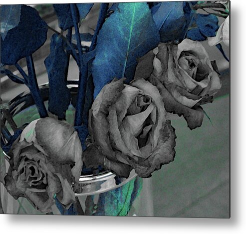 Roses Metal Print featuring the photograph Roses in Black and White and Leaves of Blue by Corinne Carroll