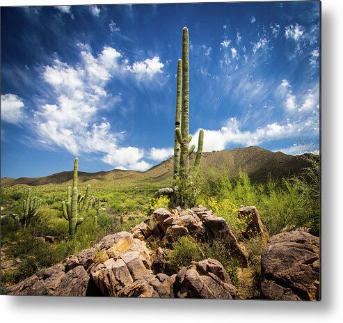 Saguaro Metal Print featuring the photograph Saguaro Cactus under Azure Arizona Sky by Craig A Walker