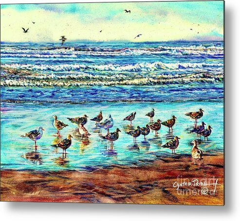Cynthia Pride Watercolor Paintings Metal Print featuring the painting Seagull Get-together by Cynthia Pride