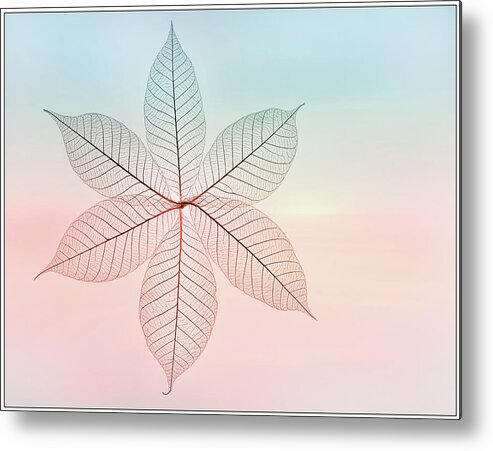 Skeleton Leaves Metal Print featuring the photograph Skeleton Leaves Floral Portrait by Sylvia Goldkranz