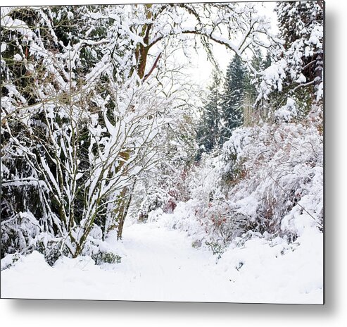 Snow Metal Print featuring the photograph Snowy Path by Lupen Grainne