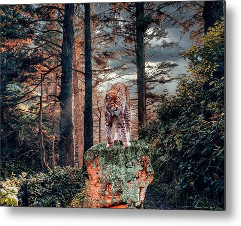 Lynx Metal Print featuring the digital art Solitary Lynx by Norman Brule