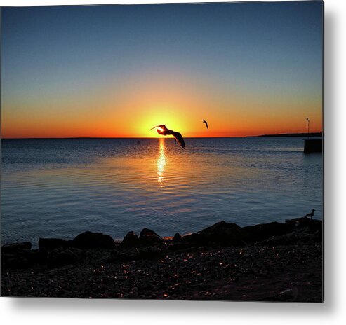 Sunrise Metal Print featuring the photograph Sunrise Seagull Silhouette by Bill Swartwout