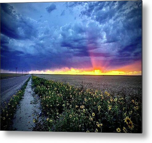 Sunset Metal Print featuring the photograph Sunset 3 by Julie Powell
