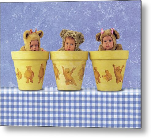 Flowerpots Metal Print featuring the photograph Teddy Bear Pots by Anne Geddes