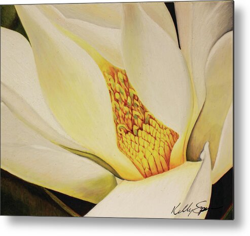Magnolia Metal Print featuring the drawing The Last Magnolia by Kelly Speros
