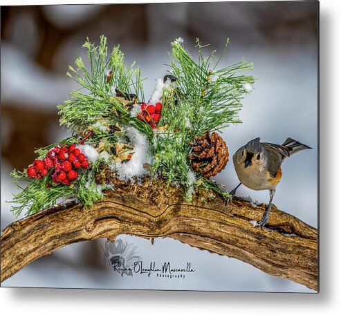 Titmouse Metal Print featuring the photograph TheChristmas Titmouse by Regina Muscarella