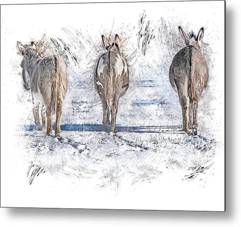 Donkey Metal Print featuring the photograph Three Amigos by Jennifer Grossnickle
