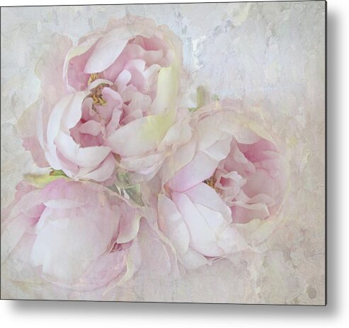 Flower Metal Print featuring the photograph Three Peonies by Karen Lynch