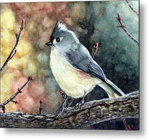 Tufted Titmouse Metal Print featuring the painting Tippi the Tufted Titmouse by Shana Rowe Jackson
